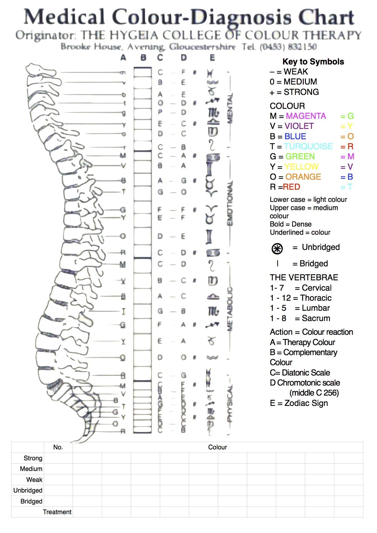 Colour Therapy Spine Chart - jacksfeet.uk Massage &amp; Reflexology 07973 ...