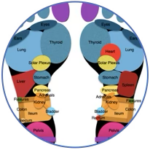 Reflexology Treatment